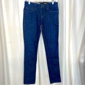 Pilcro and the Letterpress Anthropologie Stet Jeans